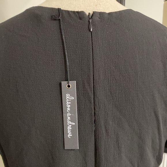 Alison Andrew’s for Anthro Dress drop waist accordion fold Pleated lined skirt - Picture 8 of 12